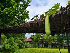 -洪湖家庭农场·团建·露营·会议