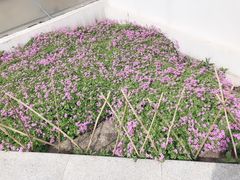 -石家庄市植物园