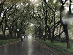 -西郊宾馆·1921餐厅