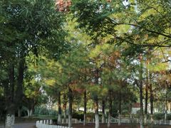 -艾溪湖湿地公园