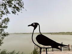 -野鸭湖国家湿地公园