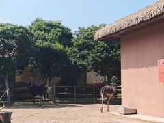 -祥源·阜阳生态乐园