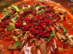 牛蛙-宽口美蛙鱼头(大唐西市店)