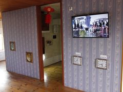 -金山农民画村-枫泾波兰倒置屋