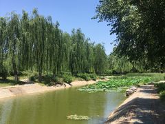 -丰台科技园生态主题公园