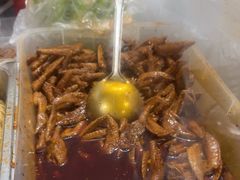 -爪爪西施
