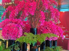 -深圳观澜格兰云天国际酒店