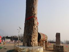 -北京凤凰岭