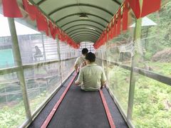 -香炉山国家森林公园