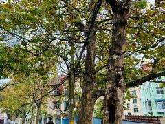 -大学路8号炸串(大学路十四号院店)