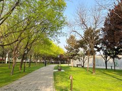 -唐城墙遗址公园