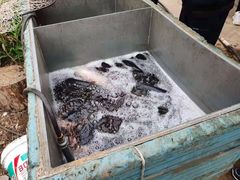 -姥家大锅台水库渔家