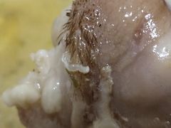 -多哥水傣味餐厅(司马巷店)
