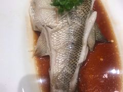 清蒸鲈鱼-大鸭梨烤鸭(枣园店)