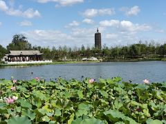 -西海子公园