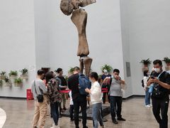 -自贡恐龙博物馆