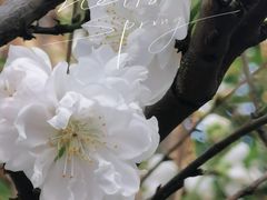 -乌山风景区