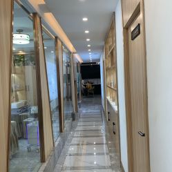 -归真美学颜究中心