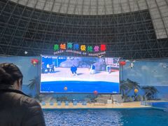 -泉城欧乐堡海洋极地世界