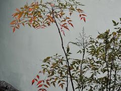 -中国昆曲博物馆