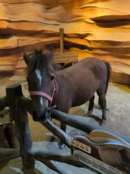 -酷嗒动物文化乐园(cutezoo西溪乐天城店)