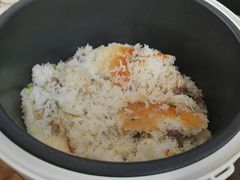 -大鸽饭(马王堆店)