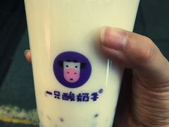 -一只酸奶牛(八一路店)