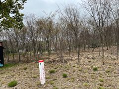 -嘉北郊野公园