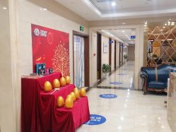 -碧莲盛·不剃发植发