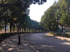 -南京理工大学紫金学院