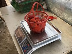 -喜杨洋草莓采摘园