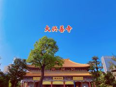 -西安大兴善寺
