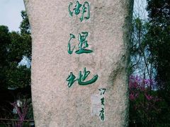 -溱湖国家湿地公园