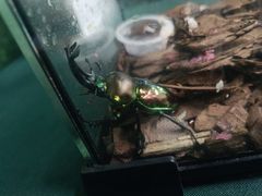 -万达广场(宜兴店)