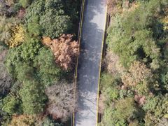 -苏州上方山国家森林公园