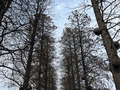 -东湖生态旅游风景区