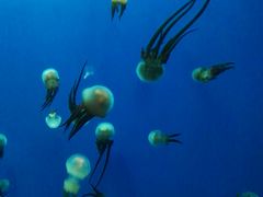 -多彩贵州城极地海洋世界