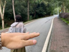 -火炉山森林公园