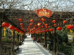 -白马涧龙池景区
