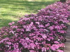 -秦皇岛野生动物园