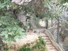 -石家庄市动物园