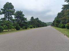 -汉景帝阳陵博物院