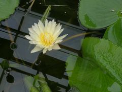 -北京植物园-展览温室