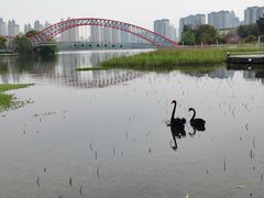 -潜龙渠公园