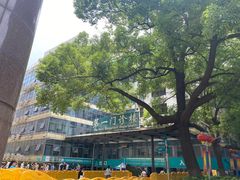 -中南大学湘雅二医院