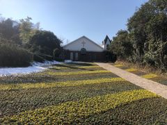 -天目湖涵田半山温泉