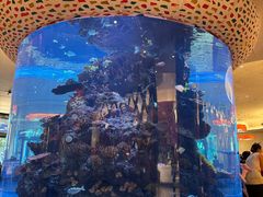 -长隆海洋王国自助餐厅(横琴湾店)