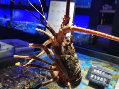 -徐记海鲜(大雁塔|金都店)