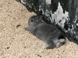 -Zoolung Zoolung动物主题公园(海信广场店)