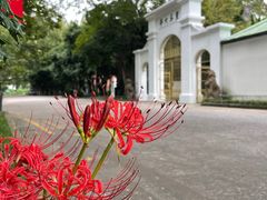 -苏州大学(天赐庄校区)